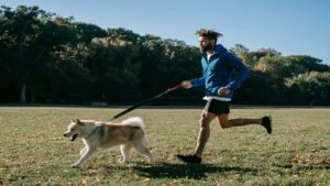 adestramento-em-casa-dicas-para-pets-felizes