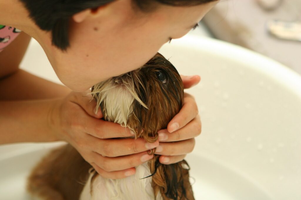 Comportamento do Seu Pet Durante o Banho e Tosa